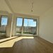 Bucurestii Noi, Chitila, Sector 1, studio cu gradina, nou, gata de mutare,